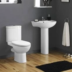 Cove 530mm Basin 1TH with Pedestal 7 Cove 530mm Basin 1TH with Pedestal -Wall Hung Basins Shop C530BP d3 460
